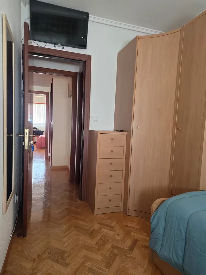 Camera accogliente per studenti disponibile a 