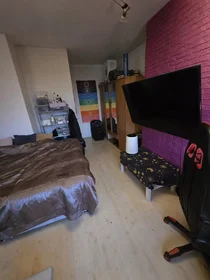 Privatzimmer in der Robert Fruinlaan, Amsterdam Nieuw-West, bild 5 von 10