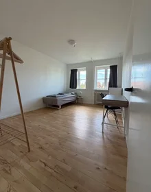Appartamento intero in Horsevænget, Hillerod, immagine 2 di 10