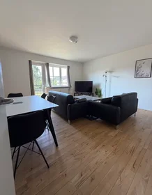 Appartamento intero in Horsevænget, Hillerod, immagine 4 di 10