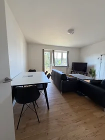 Appartamento intero in Horsevænget, Hillerod, immagine 5 di 10