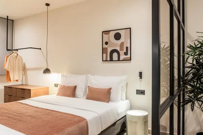 Apartamento inteiro em Ioulianou, Athens, imagem 10 de 10