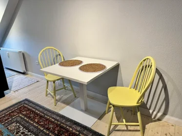 Apartamento inteiro em Gustavstraße, Innenstadt-West, imagem 6 de 10