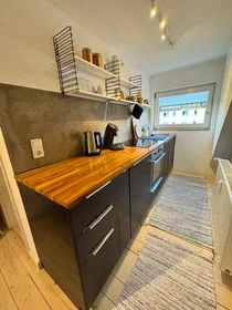 Apartamento inteiro em Gustavstraße, Innenstadt-West, imagem 7 de 10