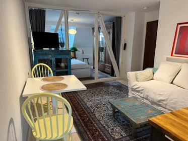 Apartamento inteiro em Gustavstraße, Innenstadt-West, imagem 9 de 10