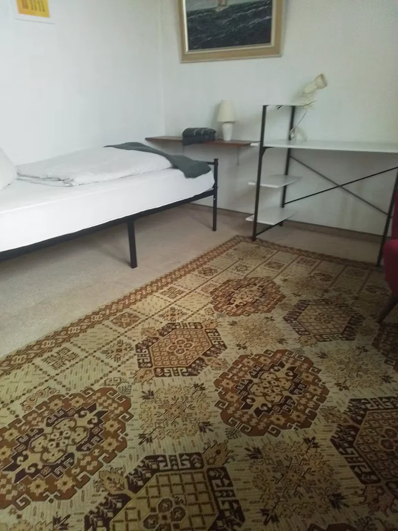 Chambre d'étudiant confortable et spacieuse dans 