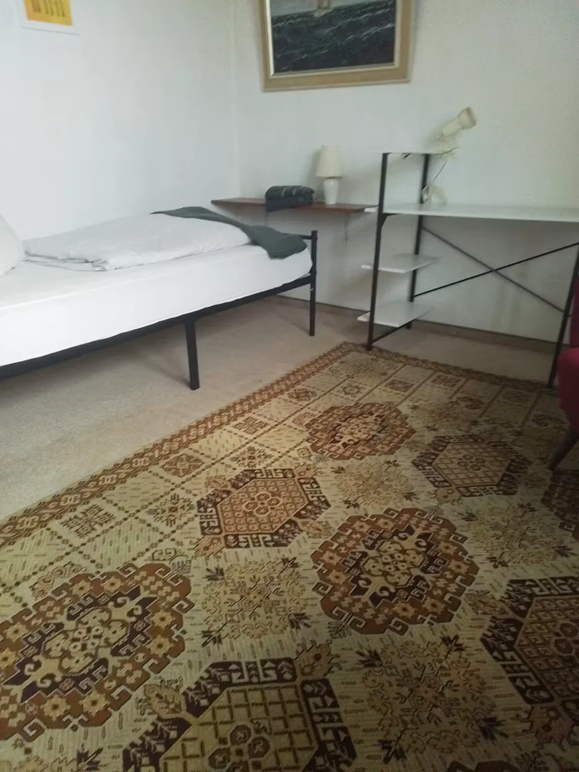 Chambre d'étudiant économique avec emplacement pratique dans