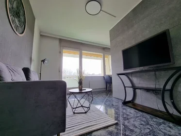 Entire apartment at Rothaarweg, Bothfeld-Vahrenheide, image 10 of 10