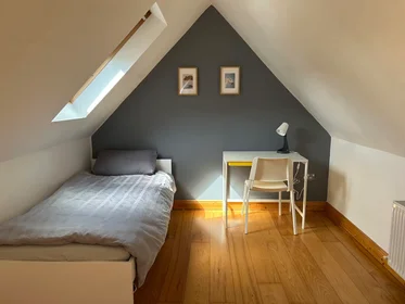 Chambre privée à Albert College Grove, Glasnevin, image 1 de 8
