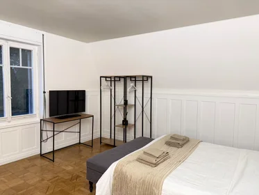 Całe miejsce Alte Landstrasse, Rüschlikon, obraz 1 10