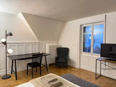 Całe miejsce Alte Landstrasse, Rüschlikon, obraz 2 10