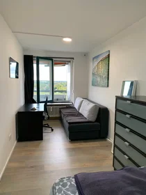 Private room at Drygalski-Allee, Solln, image 1 of 10