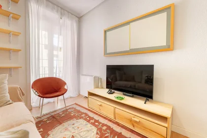 Entire apartment at Calle de Tribulete, Centro, image 4 of 10