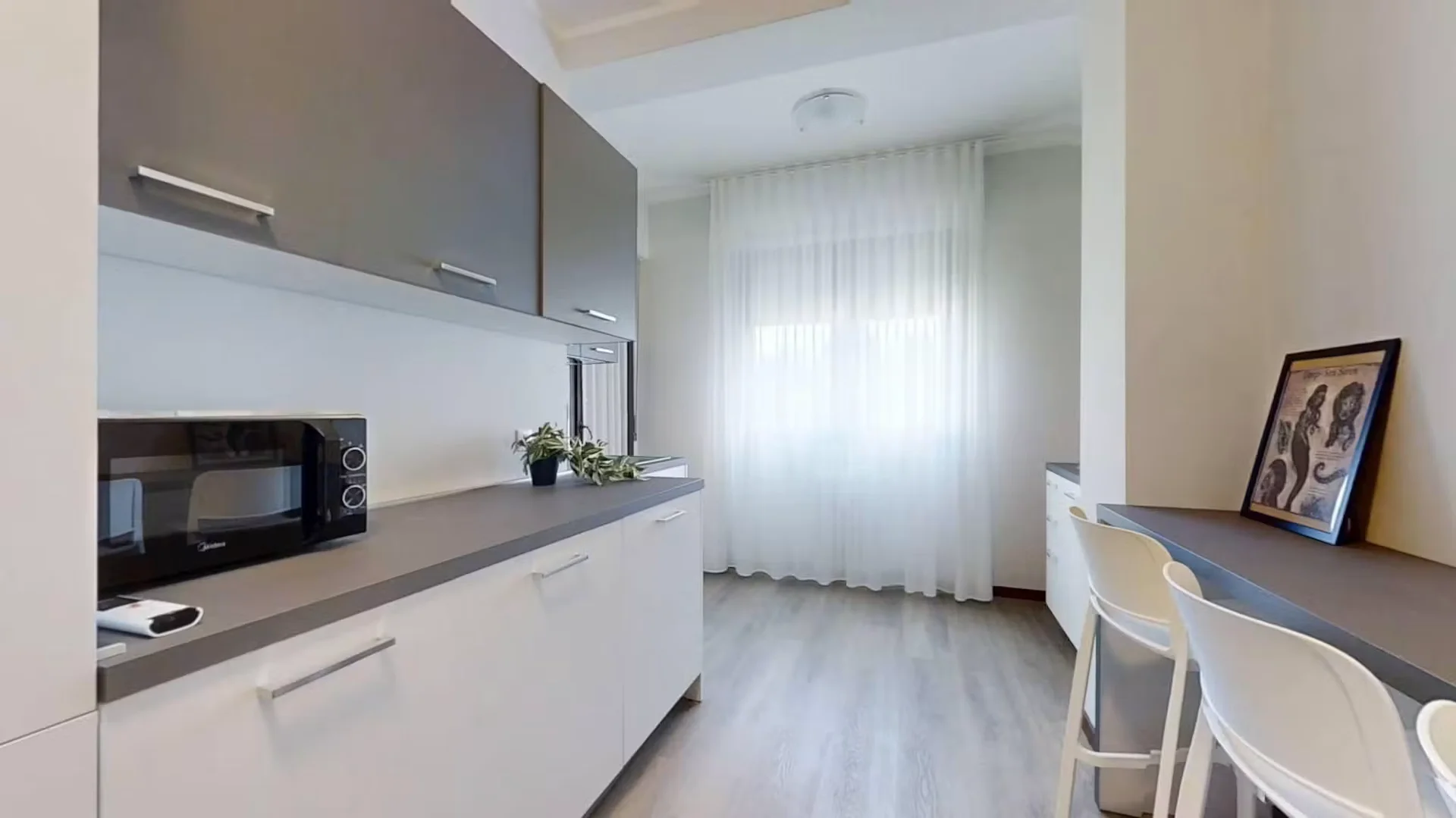 Habitación estudiantil económica cerca del campus en 