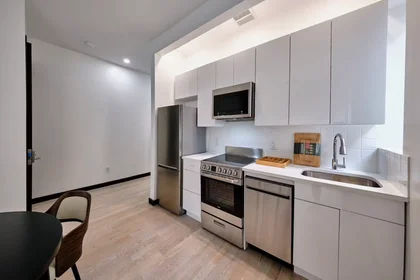 Apartamento inteiro em East 17th Street, Flatbush, imagem 10 de 10