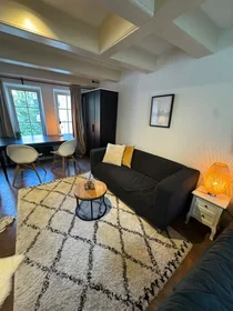 Alojamiento entero en Keizersgracht, Amsterdam-Centrum, imagen 8 de 10