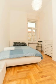Habitación privada en Balzac utca 8, imagen 1 de 10