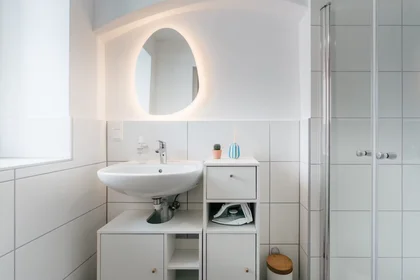 Appartamento intero in Keplerstraße, Lend, immagine 7 di 10