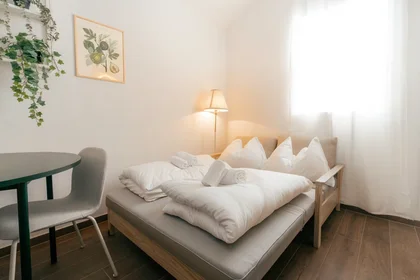 Appartamento intero in Keplerstraße, Lend, immagine 8 di 10