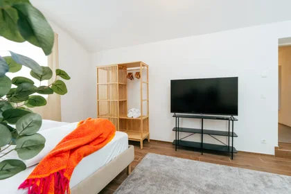 Appartamento intero in Keplerstraße, Lend, immagine 10 di 10