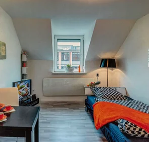 Entire apartment at Brienner Straße, Maxvorstadt, image 1 of 10
