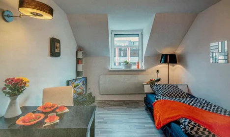 Entire apartment at Brienner Straße, Maxvorstadt, image 5 of 10