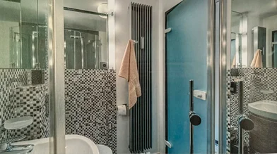 Entire apartment at Brienner Straße, Maxvorstadt, image 7 of 10