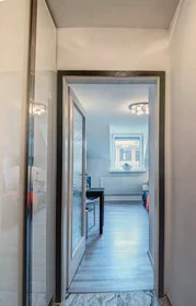 Entire apartment at Brienner Straße, Maxvorstadt, image 9 of 10