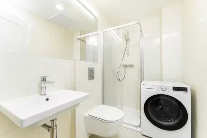 Entire apartment at Žitná, Nové Město, image 6 of 10