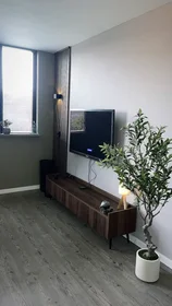 Entire apartment at Hunze, Prins Alexander, image 3 of 10
