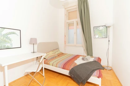 Privatzimmer in der Teréz krt. 48, bild 1 von 18