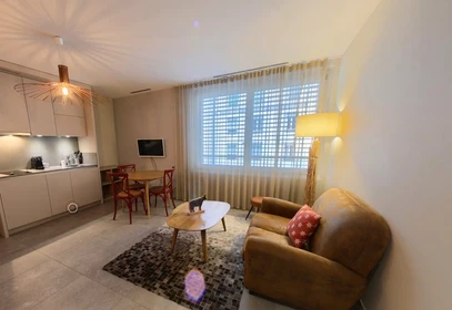 Entire apartment at Rue de Lausanne, Pâquis-Nations, image 1 of 5
