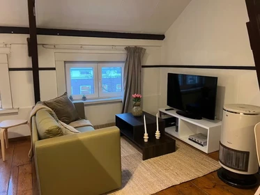 Appartamento intero in Witte de Withstraat, Stadscentrum, immagine 1 di 10