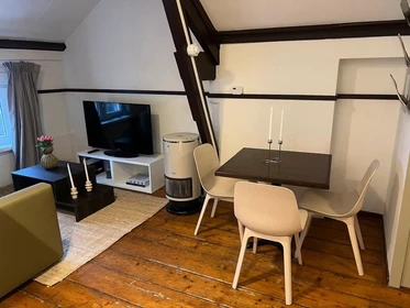 Appartamento intero in Witte de Withstraat, Stadscentrum, immagine 2 di 10