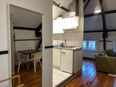Appartamento intero in Witte de Withstraat, Stadscentrum, immagine 3 di 10
