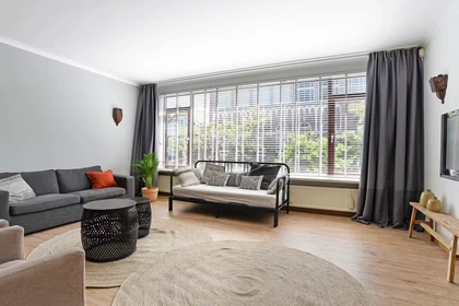 Appartamento intero in Witte de Withstraat, Stadscentrum, immagine 2 di 10