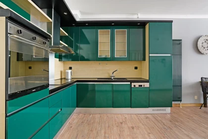 Appartamento intero in Witte de Withstraat, Stadscentrum, immagine 7 di 10