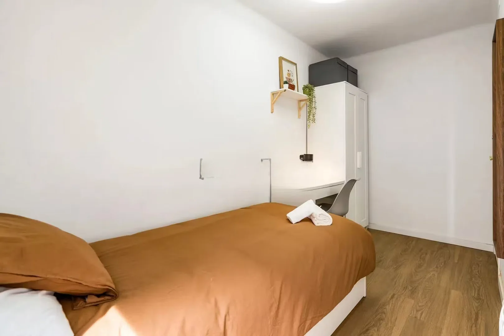 Camera accogliente per studenti disponibile a