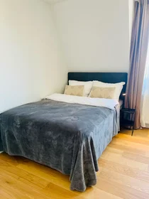 Appartamento intero in Hertelstraße, Altstadt, immagine 3 di 10
