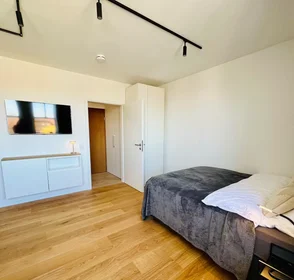 Appartamento intero in Hertelstraße, Altstadt, immagine 4 di 10
