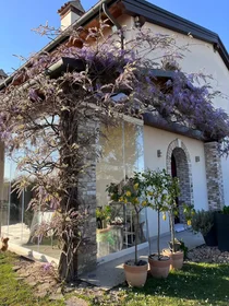 Stanza privata in Via Leonardo Loredan, San Pietro di Stra, immagine 4 di 7