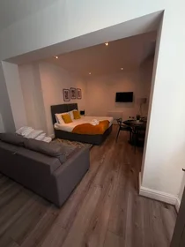 Entire apartment at Harrington Street, Commercial District, image 3 of 10