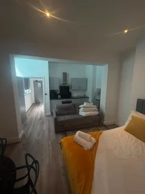 Entire apartment at Harrington Street, Commercial District, image 5 of 10