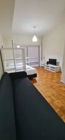 Modern and bright flat in {area}