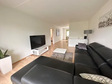 Privatzimmer in der Allmendstrasse, Oberglatt, bild 6 von 10