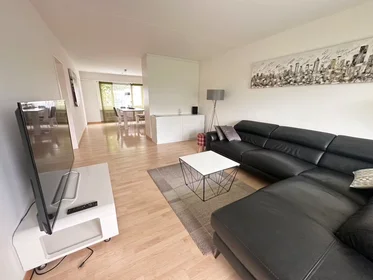 Privatzimmer in der Allmendstrasse, Oberglatt, bild 7 von 10