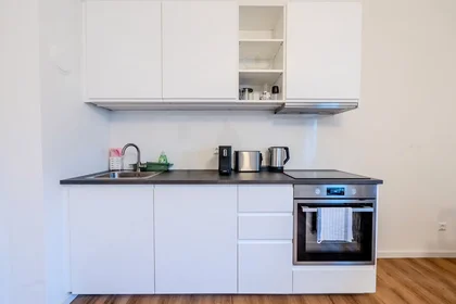 Appartamento intero in Neubaugasse, Lend, immagine 3 di 10