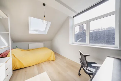 Privatzimmer in der Rue Joseph Saintraint, Namur, bild 1 von 8