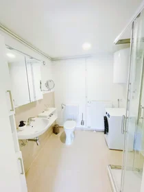 Appartamento intero in Griesgasse, Gries, immagine 6 di 10