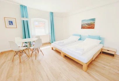 Appartamento intero in Griesgasse, Gries, immagine 7 di 10